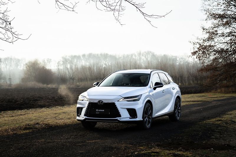 Lexus RX 450h plus 450h+ 2,5 PHEV F SPORT DESIGN - fotografie inzerátu