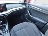 Škoda Octavia (2021) 2.0 TDI, Serv.kniha, Tempomat - náhled 8
