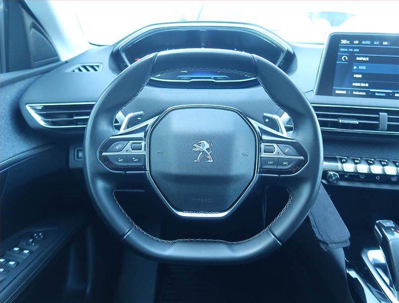 Peugeot 3008 (2019) 1.6 PureTech, Automat - fotka 16 z 18