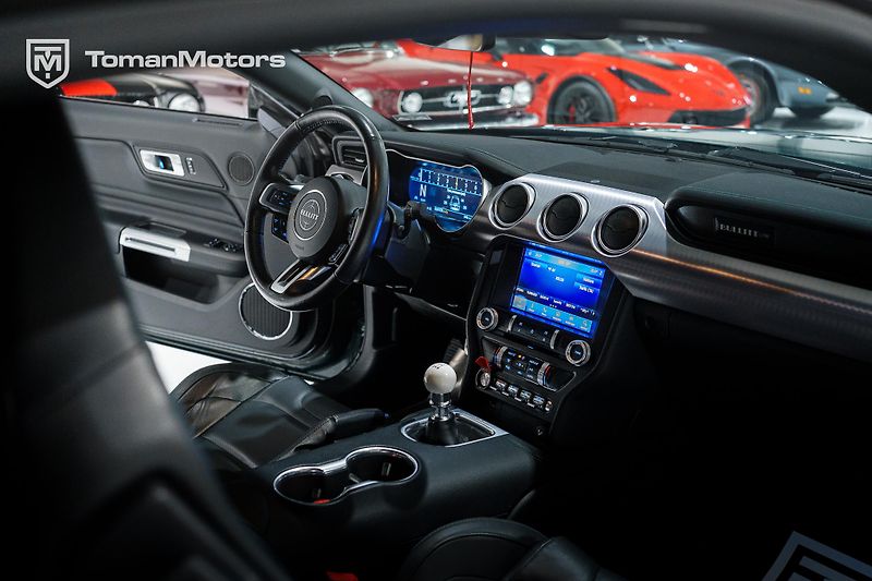 Ford Mustang (2019) Bullitt, Man, RECARO, DPH odpo - fotka 12 z 23