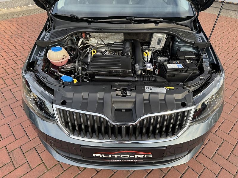 Škoda Fabia (2016) 1.2TSi JOY Navi Digi Klima - fotka 34 z 50