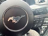 Ford Mustang (2021) 2.3 EcoBoost Manuál MBRP 2021  - náhled 22
