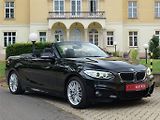 BMW Řada 2 228i Cabrio M-Sport H&K Kamera - náhled 7
