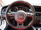 Audi A5 (2016) 2.0 TDi Quattro, AT, park - náhled 16