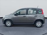 Fiat Panda 1,0 i Hybrid,1.Maj, DPH - náhled 3