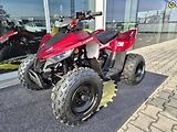 Linhai ATV 100 LH (2026) ATV 110 - náhled 62