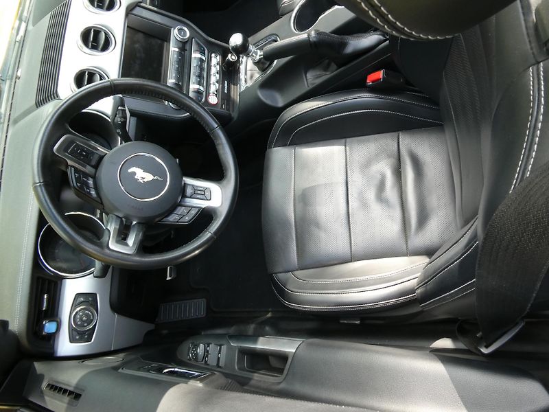 Ford Mustang (2015) kabriolet - fotka 15 z 36