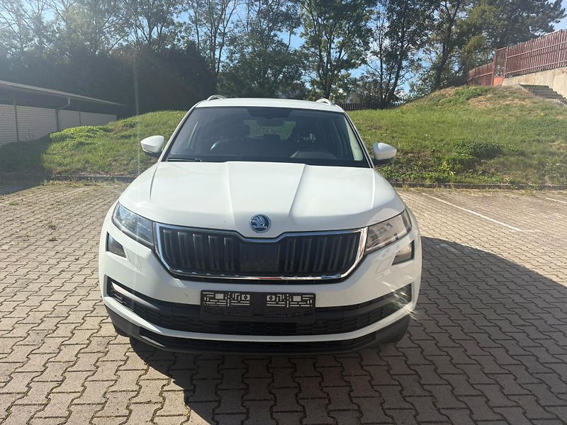Škoda Kodiaq (2017) - fotka 17 z 17