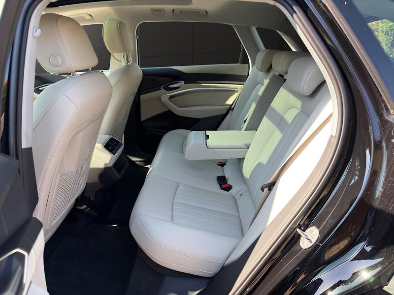 Audi e-tron (2023) 55 300KW 21 ALU PANORAMA - fotka 13 z 27