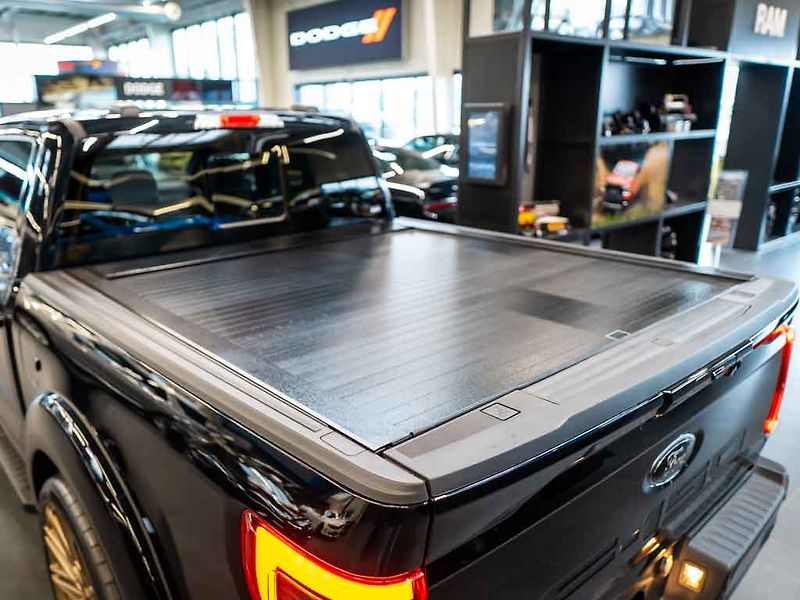 Ford F-150 (2024) 5.0 V8 Lariat, Lowered Edition - fotka 36 z 39