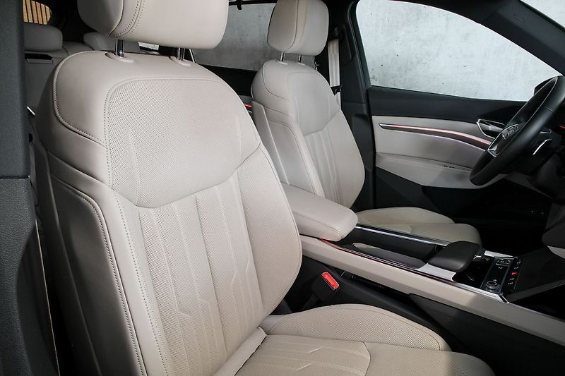 Audi e-tron 55 300kW Ventilace Matrix 360 - fotka 16 z 48
