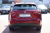 Lexus NX 300h NX300h AWD DC Executive Plus S - náhled 6