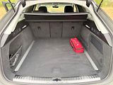 Audi A6 Allroad (2025) 50 TDI - náhled 13