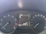 Škoda Fabia 1,2   TSI,SERVISKA,1.MAJ,Red&G - náhled 13