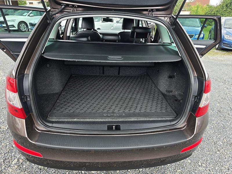 Škoda Octavia 1.4TSI NAVI XENON KŮŽE 1Majite - fotka 17 z 26