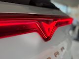 Cupra Terramar (2026) VZ 2.0 TSi 265k DSG 4WD - náhled 14