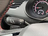 Škoda Octavia RS 4x4 6DSG 2,0TDI - náhled 14