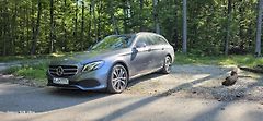 Mercedes-Benz Třídy E (2019) 2.0 /225kW - fotografie inzerátu