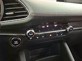 Mazda 3 (2022) Luxury 2.0 e-Skyactiv X - náhled 14