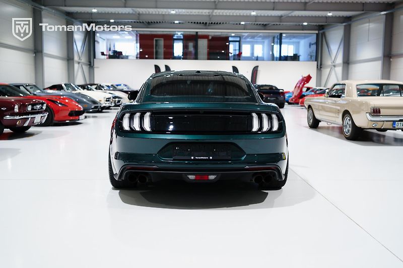 Ford Mustang (2019) Bullitt, Man, RECARO, DPH odpo - fotka 6 z 23
