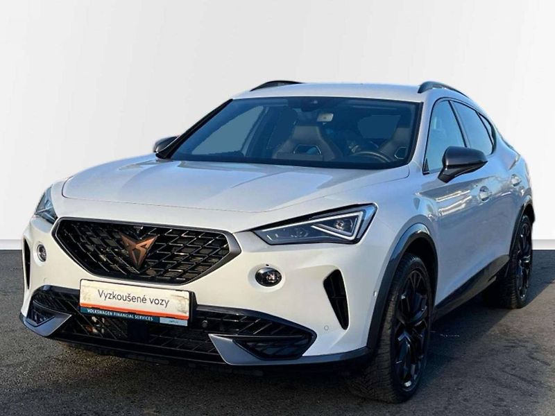 Cupra Formentor (2024) VZ 2.0 TSI DSG - fotka 19 z 20