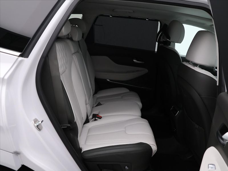 Hyundai Santa Fe 1.6 T-GDI HEV 4x4 CZ Luxury 1. - fotka 12 z 30