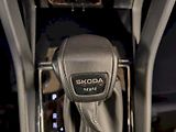 Škoda Karoq (2024) 2.0 TDI 110 kW DSG 4x4 Sportli - náhled 19