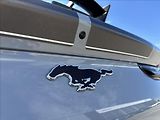 Ford Mustang Mach-E Rally 358kW MagneRide AWD - náhled 16