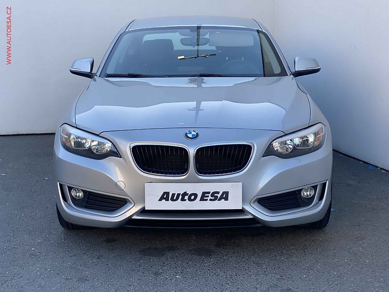 BMW Řada 2 (2014) 2.0i 220i, AT, kůže - fotka 2 z 18