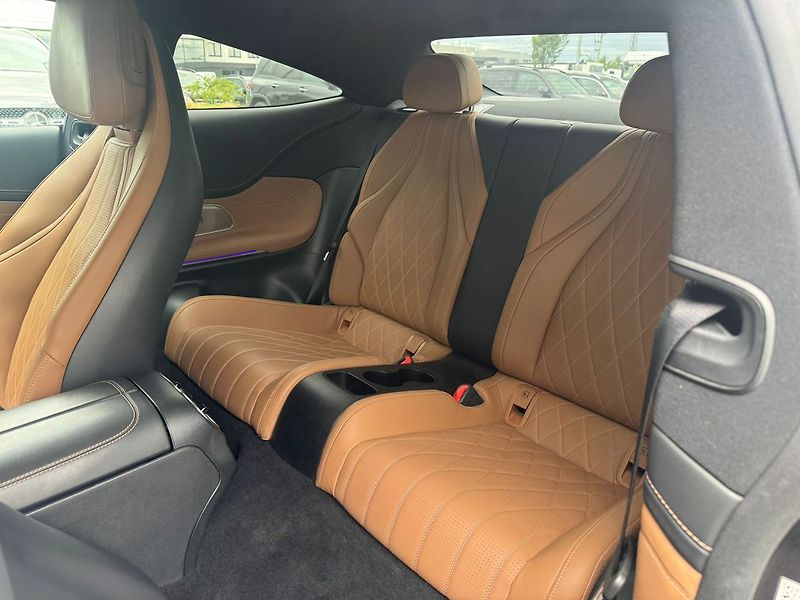 Mercedes-Benz Ostatní 450 4MATIC - fotka 19 z 19