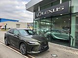 Lexus RX 350h 2.5  4V Executive Plus - náhled 8