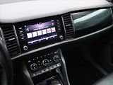 Škoda Kodiaq 2,0 TDI 110kW DSG 4x4 Style - náhled 24