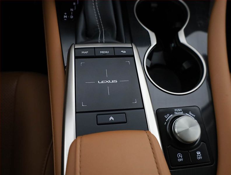 Lexus RX 400h (2022) 300 - fotka 13 z 21