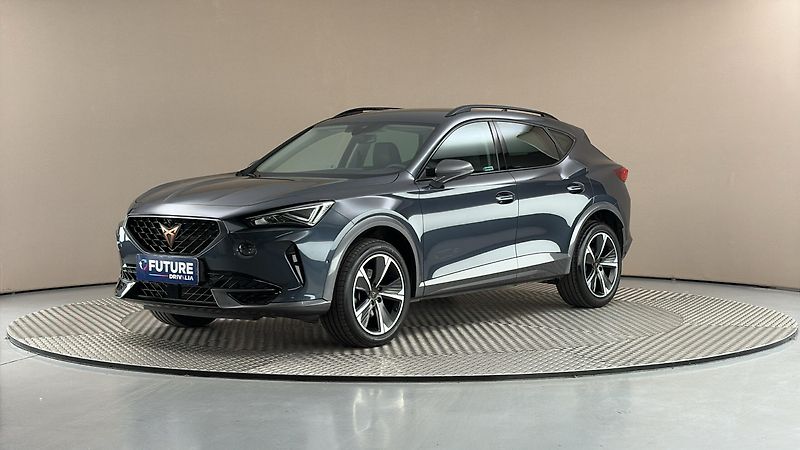 Cupra Formentor 2.0 TSI DSG 4Drive - fotka 1 z 29