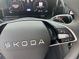 Škoda Kodiaq 2.0 TSI/150kW Excl.Selection D - náhled 12