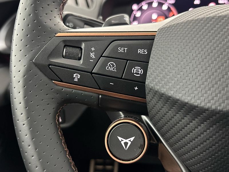 Cupra Terramar 4WD DSG - fotka 23 z 30