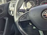 Škoda Rapid 1.6TDi 77kw, elegance - náhled 16