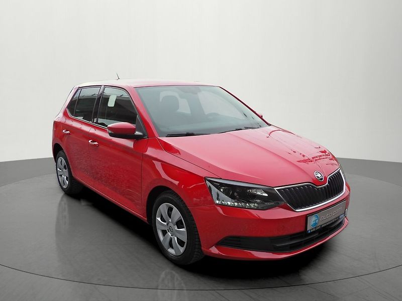 Škoda Fabia 1.0MPi Ambition Auto AC - fotka 6 z 30