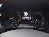 Škoda Octavia RS 2,0 TSI 169kW DSG 1.Maj. - náhled 18