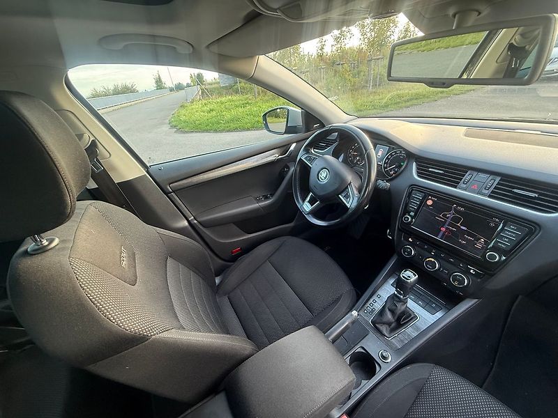 Škoda Octavia 2,0 TDI SCOUT 4X4 DSG TZ - fotka 9 z 18