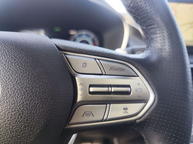 Hyundai Santa Fe 2.2 CRDi/142kW Luxury PNM DCT - fotka 32 z 39