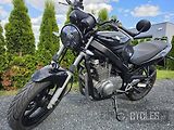 Suzuki GS 500 (2004) - náhled 10