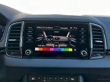Škoda Karoq (2024) 2.0 TDI 85kW DSG Style+ VarioF - náhled 16