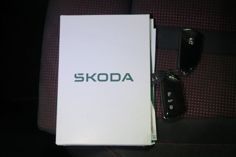Škoda Kodiaq (2026) RS 2.0 TSI 195 kW Panorama NEW - fotka 48 z 49