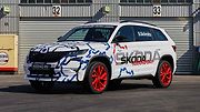 Škoda Kodiaq RS na Nürburgringu.
