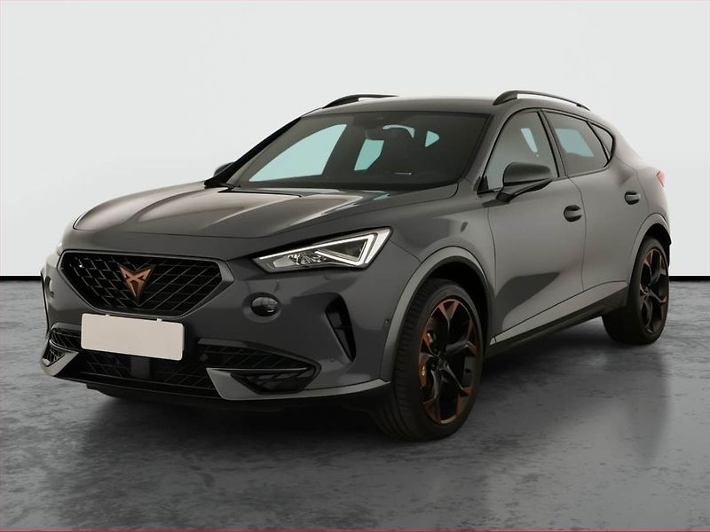 Cupra Formentor (2020) 2.0 TSI VZ 4Drive - fotka 2 z 24