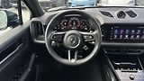 Porsche Cayenne Turbo E-Hybrid - náhled 20