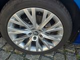 Škoda Superb Combi 2.0 TDI DSG - náhled 65