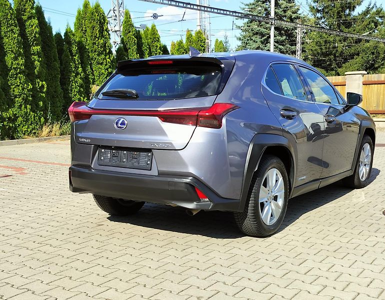 Lexus UX 250h BUSINESS edition,alcantara - fotka 7 z 24