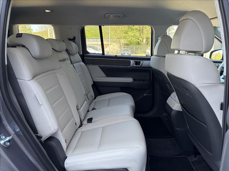 Hyundai Santa Fe 1,6 T PHEV 4WD 7M  Premium - fotka 12 z 24
